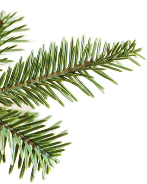 Árvore de Natal Alpine Balsam com LED  ( PROMOÇÃO FINAL DE ANO )